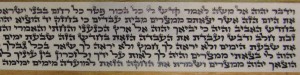 Tefillin Parshios written by Rabbi Ledderman
