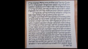 Mezuzah Beis Yosef 15cm Rabbi Joseph T. $95 Click to zoom