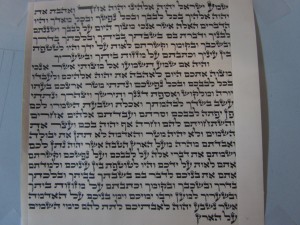 Mezuzah 15 cm Beis Yosef Written By Rabbi Yaakov Shapiro $120