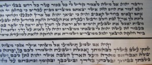 Tefillin Parshios written in ksav Ari By Rabbi Joseph T