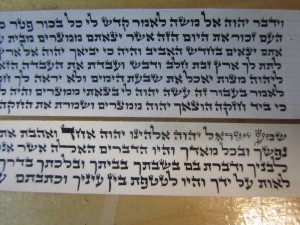 Tefillin Parshios Rabbi Holtzberg 