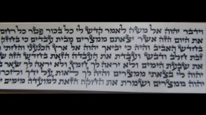 Sfaradi Tefillin Parshios Written By Rabbi Faviad T.